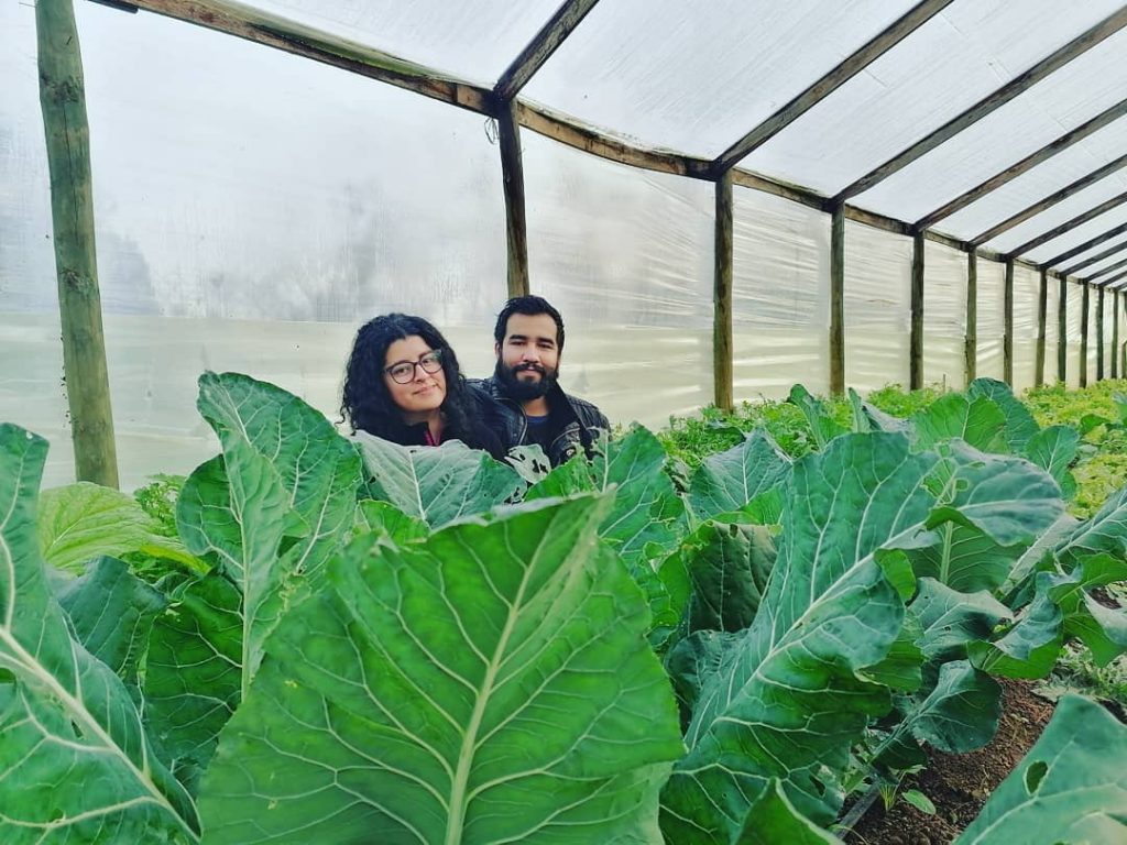 El equipo de Mercado Vivo en su invernadero