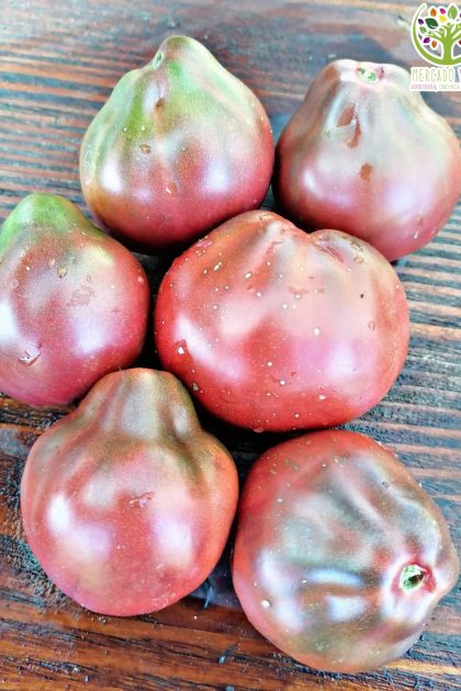 Tomate Wine Jug