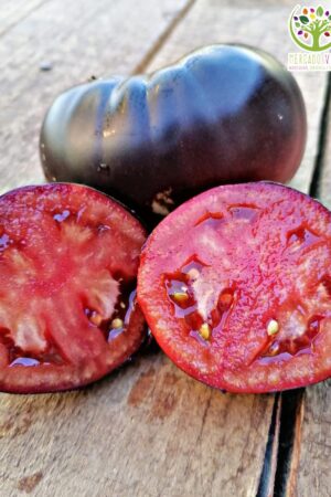 Tomate Black Beauty