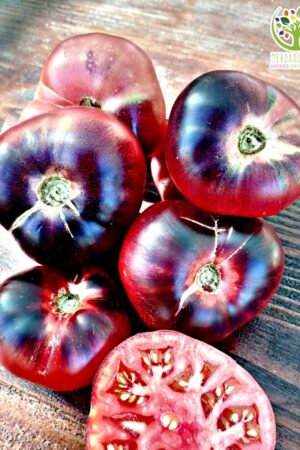 Tomate Black Cherokee