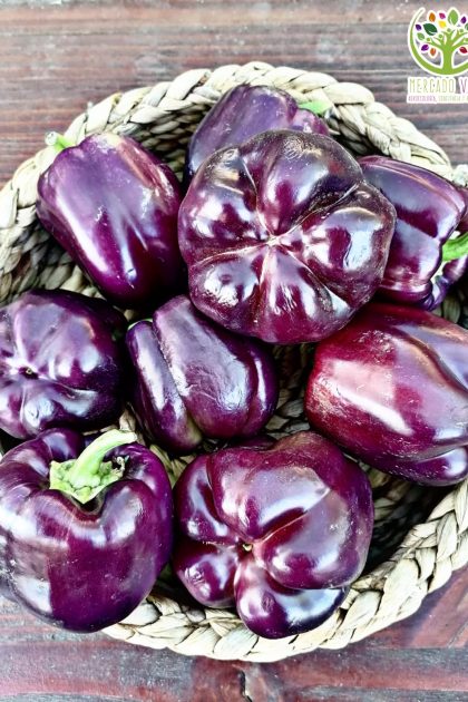 Pimiento Morado