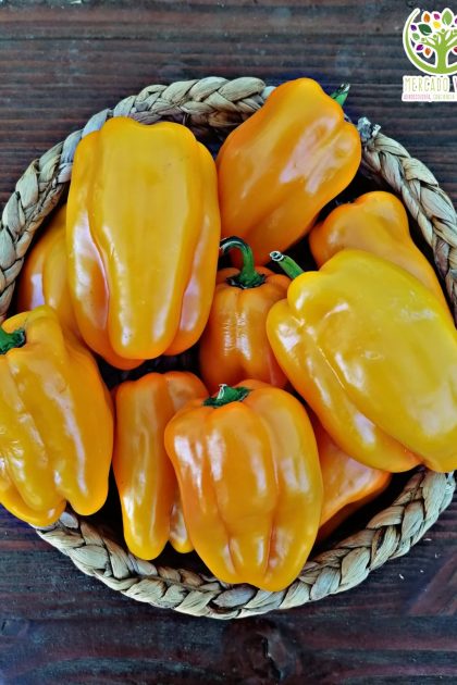 Pimiento Amarillo
