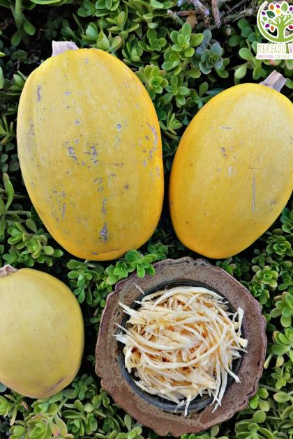 Zapallo Espagueti / Calabaza Cabello de Ángel