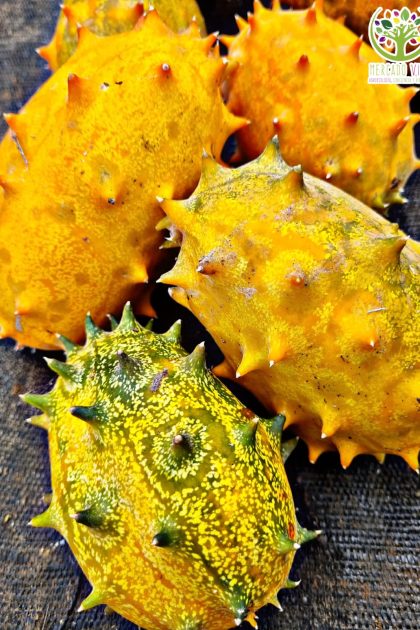 Kiwano o Fruto del Paraíso