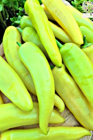 Ají Hungarian Hot Wax