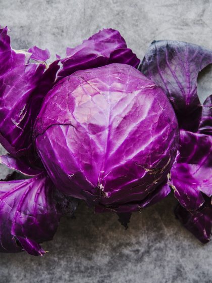 Repollo Morado liso