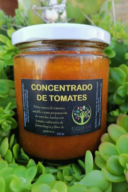 Concentrado de Tomates 250 gr