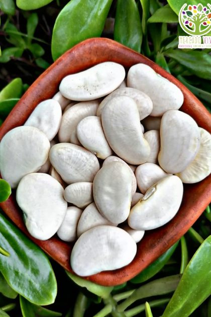 Poroto Pallar Luna