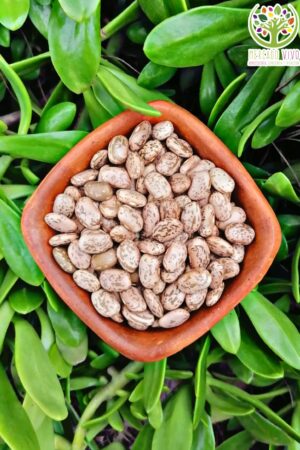 Poroto Hallado Café FP