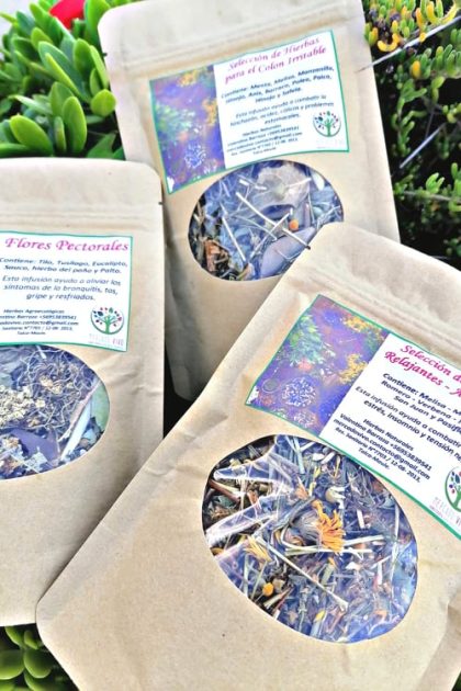 Hierbas medicinales secas para infusión