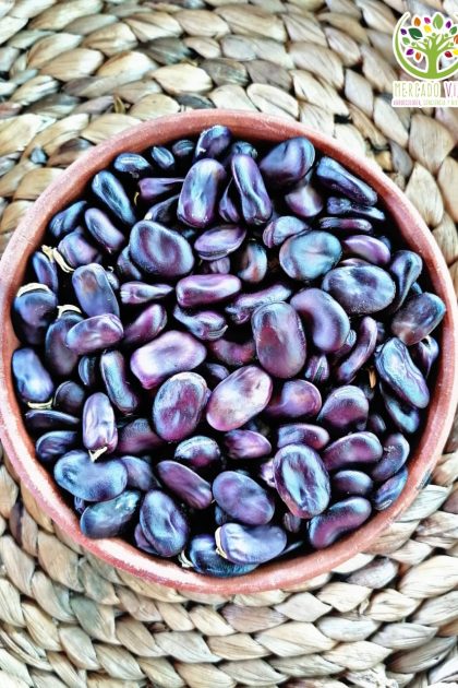 Haba Morada