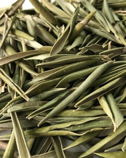 Hojas de Olivo