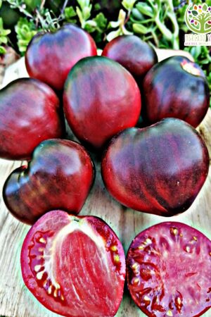 Tomate Sgt Pepper´s