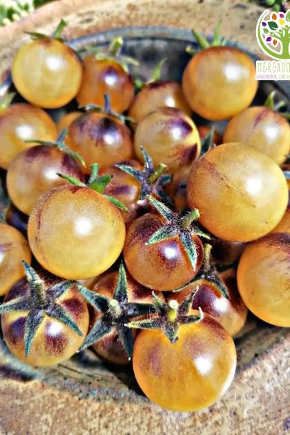 Tomate Cherry Cream