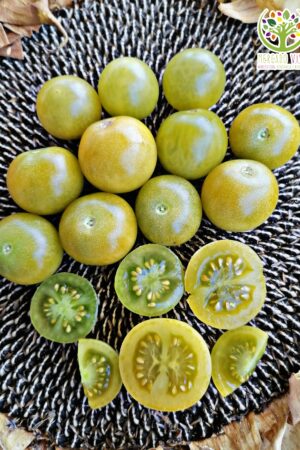 Tomate Green Doctors