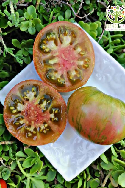 Tomate Kozula