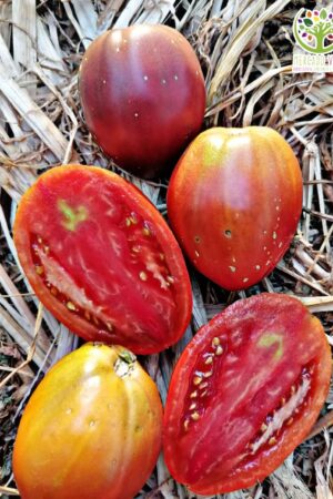 Tomate Corazón de Chocolate