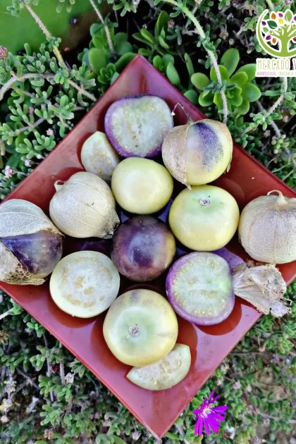 Tomatillo Variedades