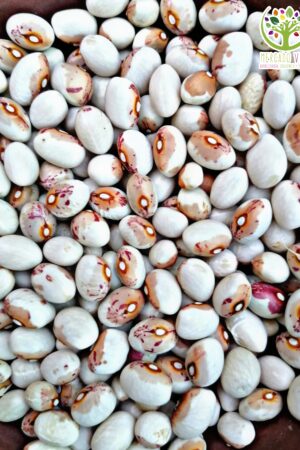 Poroto Ganso arvejita