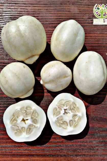 Pepino Manzana de Cristal