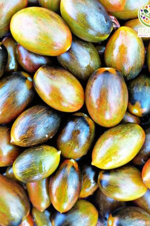 Tomate Brad´s Atomic Grapes