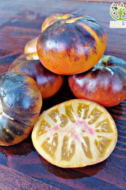 Tomate Thunder Mountain