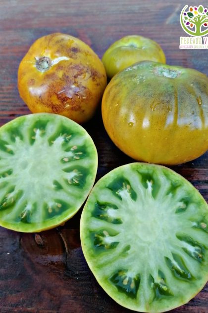 Tomate Tar Tops