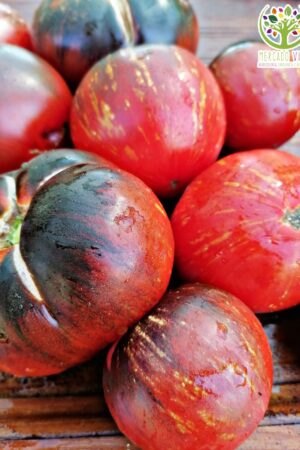 Tomate Kaleidoscopic Jewel
