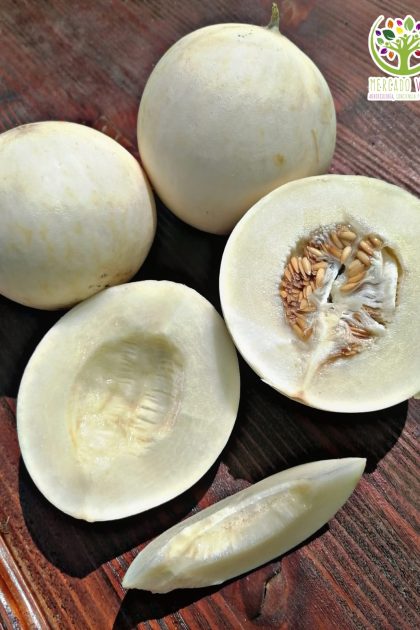 Melón Honeydew Blanco