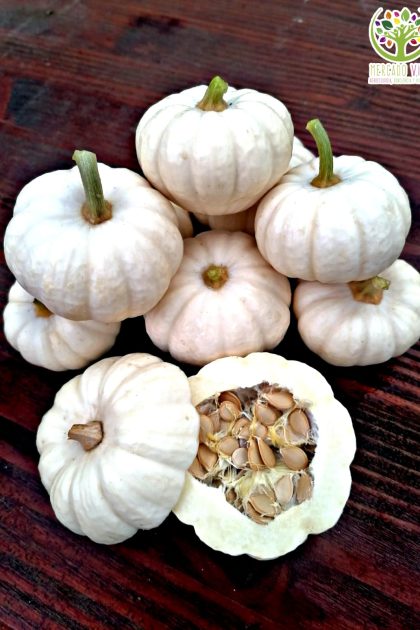 Calabaza Baby Boo