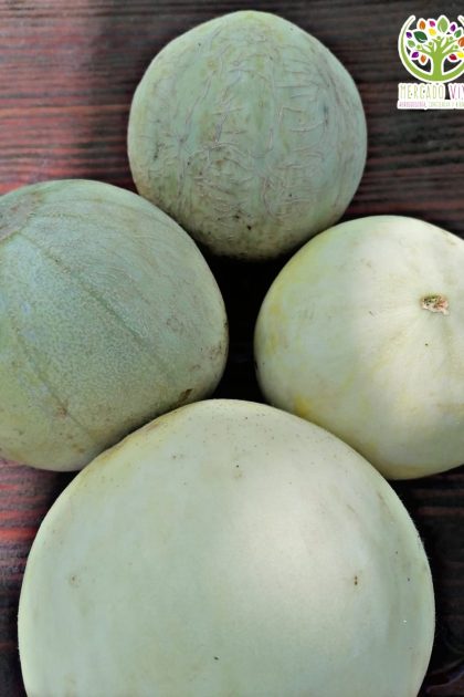 Melón Tuna