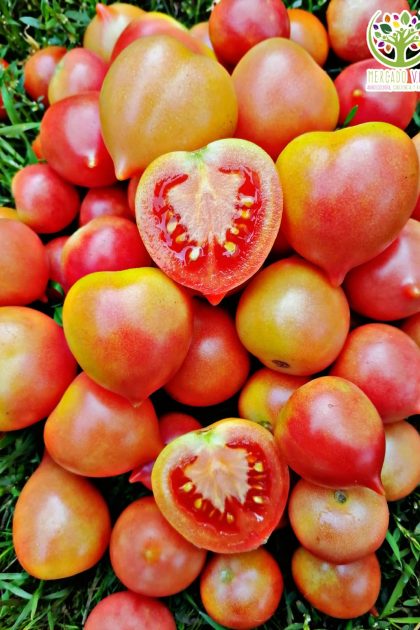 Tomate Ramallet