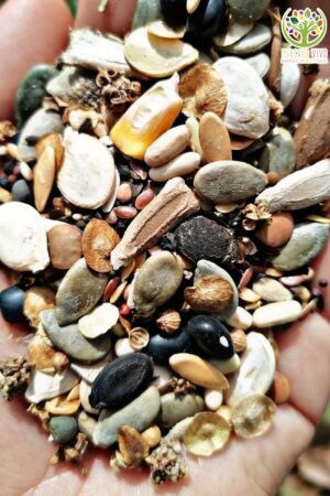 Super mix Huertero Mercado Vivo