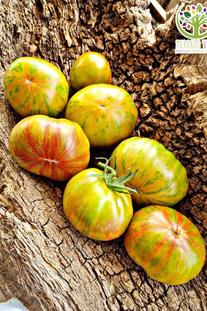 Tomate Pink Berkeley Tie-Dye