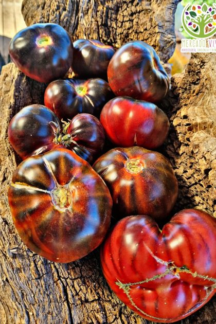 Tomate Black Cherokee