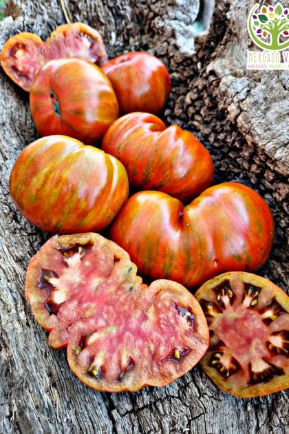 Tomate Mr. Stripey