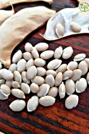 Poroto Bombero Blanco