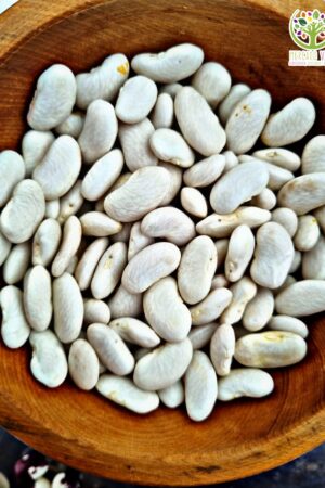 Poroto Riñón café