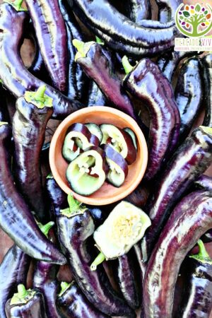 Pimiento Cuerno de Toro Violeta