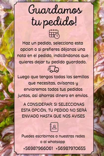 Guardamos tu pedido (no será enviado hasta que nos avises).
