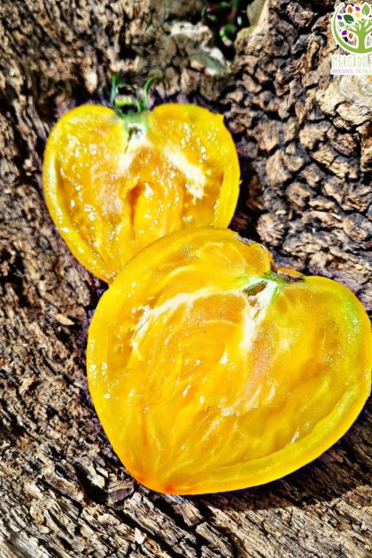 Tomate Desdemona's Heart