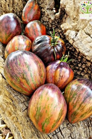 Tomate Rebel Starfighter Prime