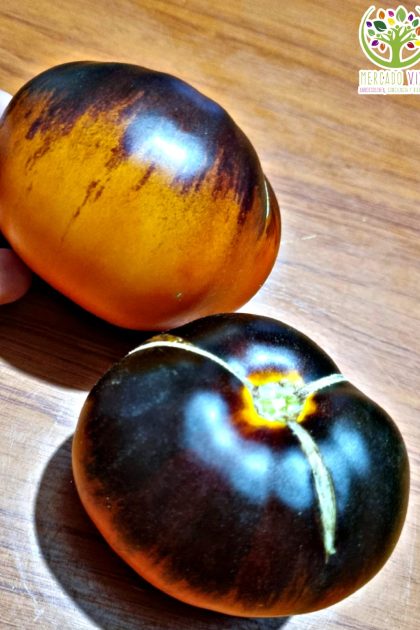 Tomate Lucid Gem