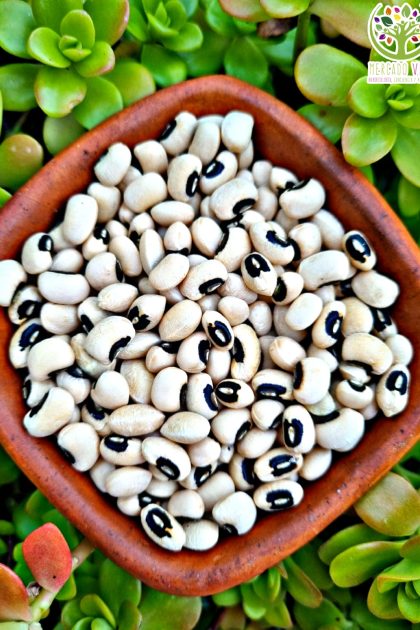 Poroto Castilla / Black eyed peas