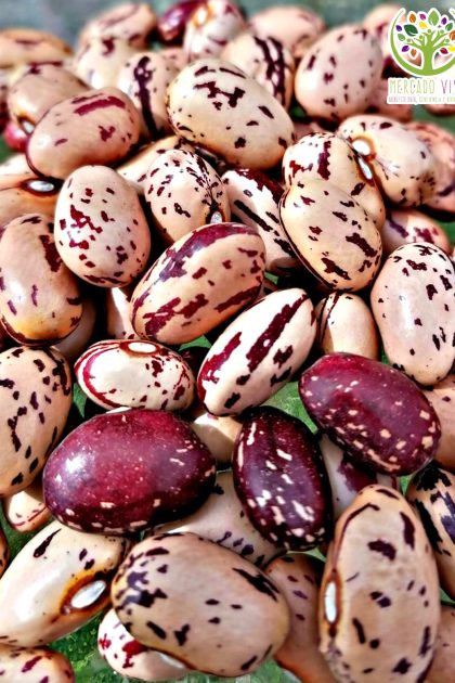 Poroto Frutilla