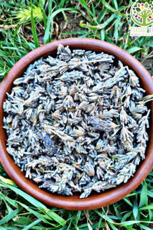 Semillas de Lavanda