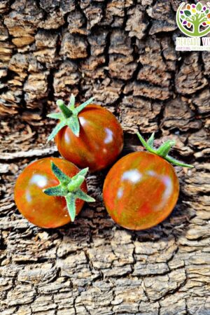 Tomate Chocolate Sprinkles FP